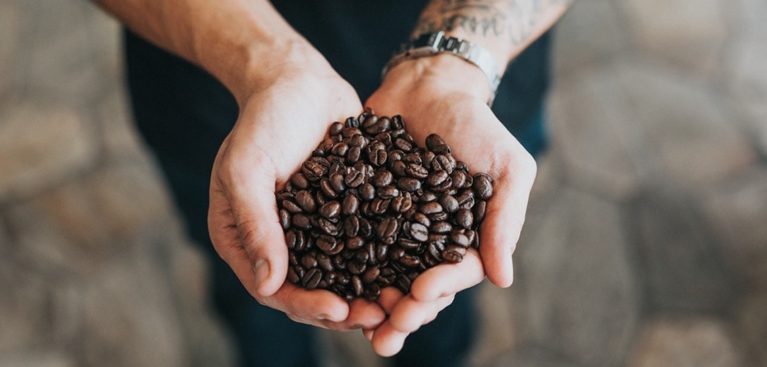 Coffea Arabica & Coffea Robusta