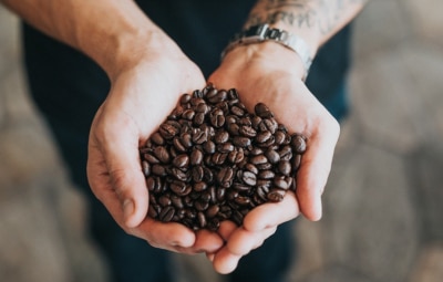 Coffea Arabica & Coffea Robusta